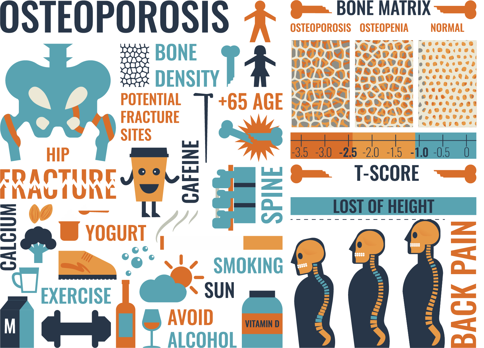 bone-density-green-imaging-affordable-mris-ct-scan-mammogram