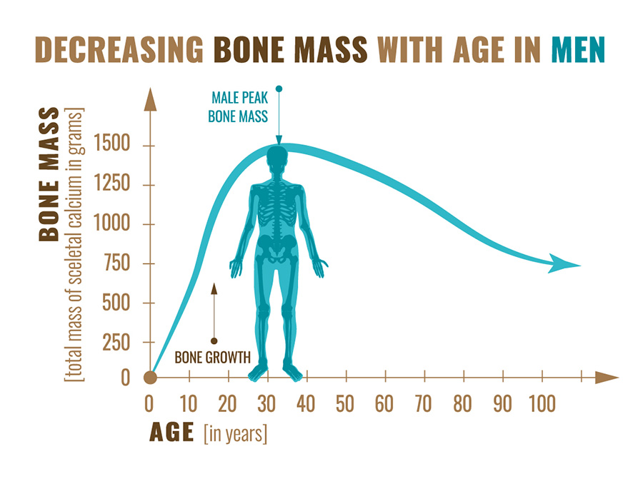 Average Bone Mass Chart